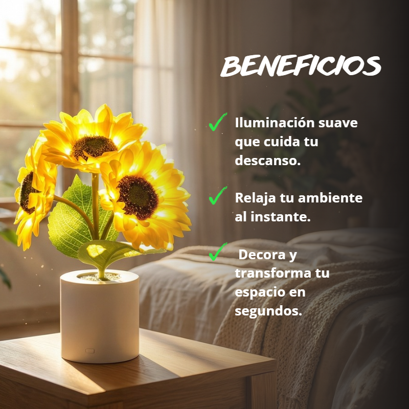 SolaraHome